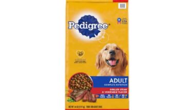 Product photo of recalled Pedigree dog food, representing the Pedigree dog food recall.