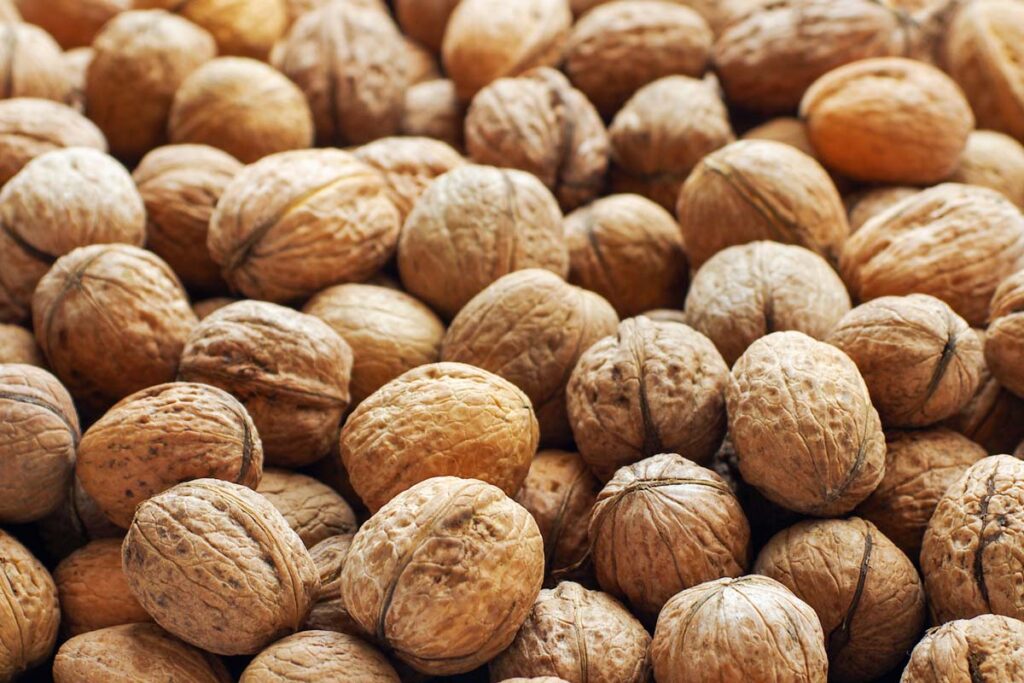 Close up of walnuts, representing the Gibson Farms walnuts recall.