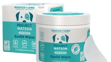 Product photo of recalled dog eyelid wipes, representing the Bausch + Lomb recall.
