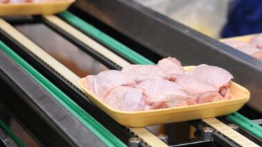 Close up of raw chicken in a manufacturing facility, representing OK Foods chicken price-fixing settlement.