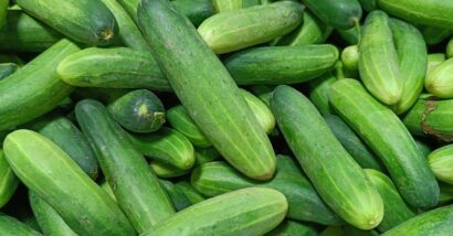 CDC investigating cucumber salmonella outbreak that has sickened hundreds