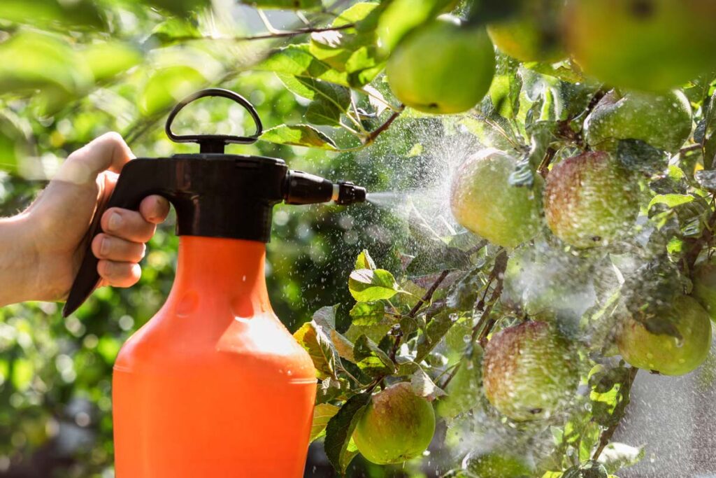 Close-up of a woman spraying pesticides on a tree, illustrating the EPA's pesticide regulation.