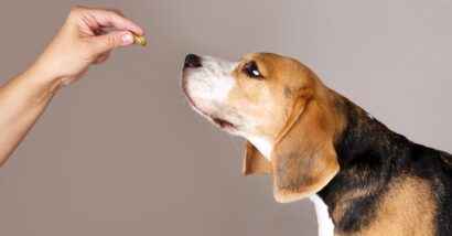 Canine joint support supplements falsely advertised as clinically proven, class action claims