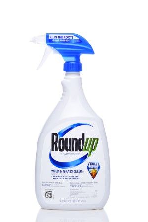 Bottle of Roundup weed killer