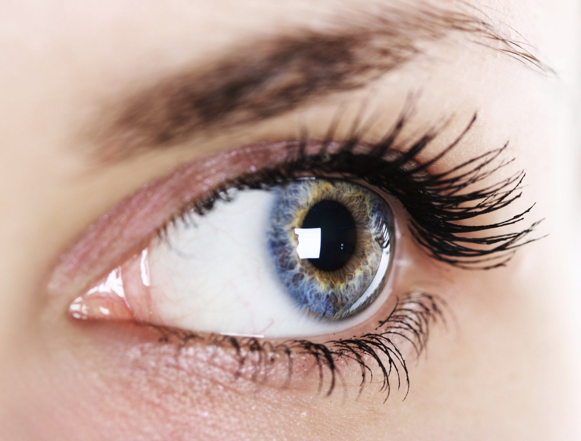 Closeup of a woman's blue eye - oculentis