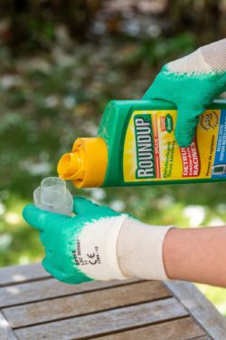 Roundup weedkiller contains glyphosate, presenting many health risks