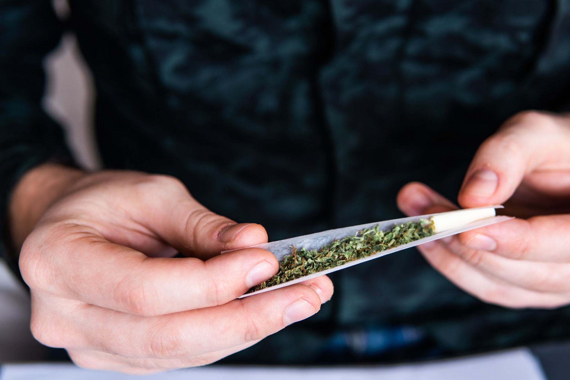 consumer rolling cannabis joint amid THC dosage uncertainty