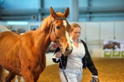 breeder with horse regarding the standardbred breeders class action lawsuit
