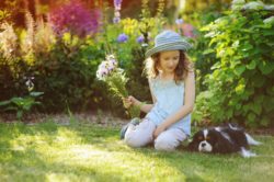 girl in garden with dog regarding info on if Roundup is safe