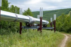 Trans Mountain Pipeline