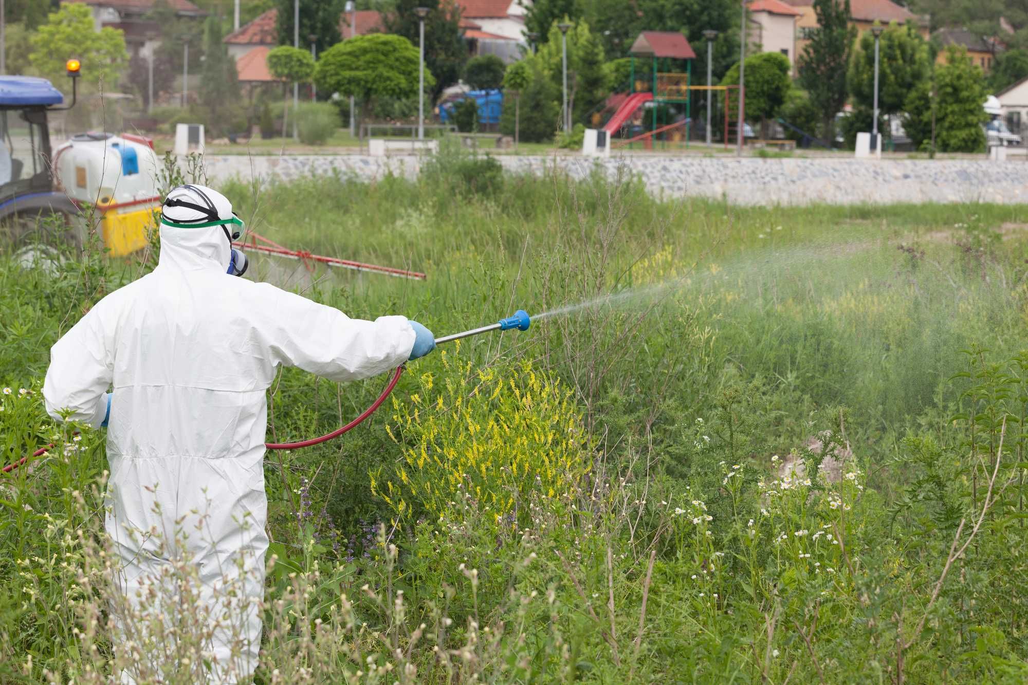 Person spraying herbicides regarding information on whther or not Roundup causes cancer 