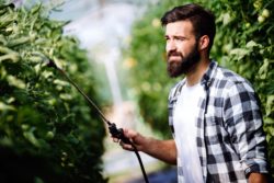 Man spraying herbicides regarding information on the ingredients in Roundup 