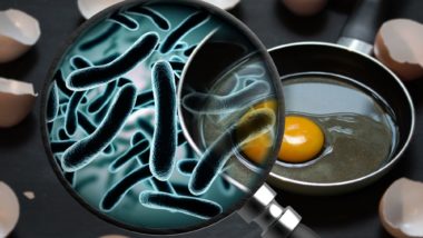 eggs with bacterial contamination regarding Canada recalls