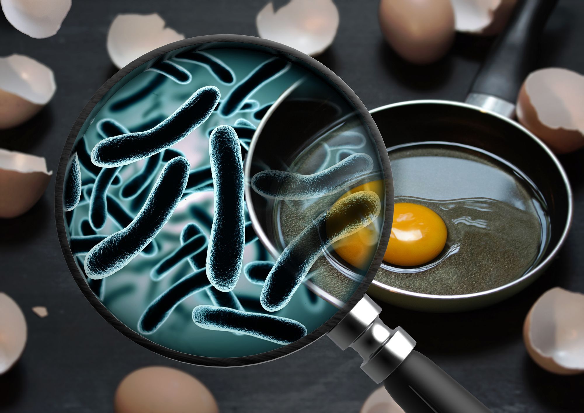 eggs with bacterial contamination regarding Canada recalls 