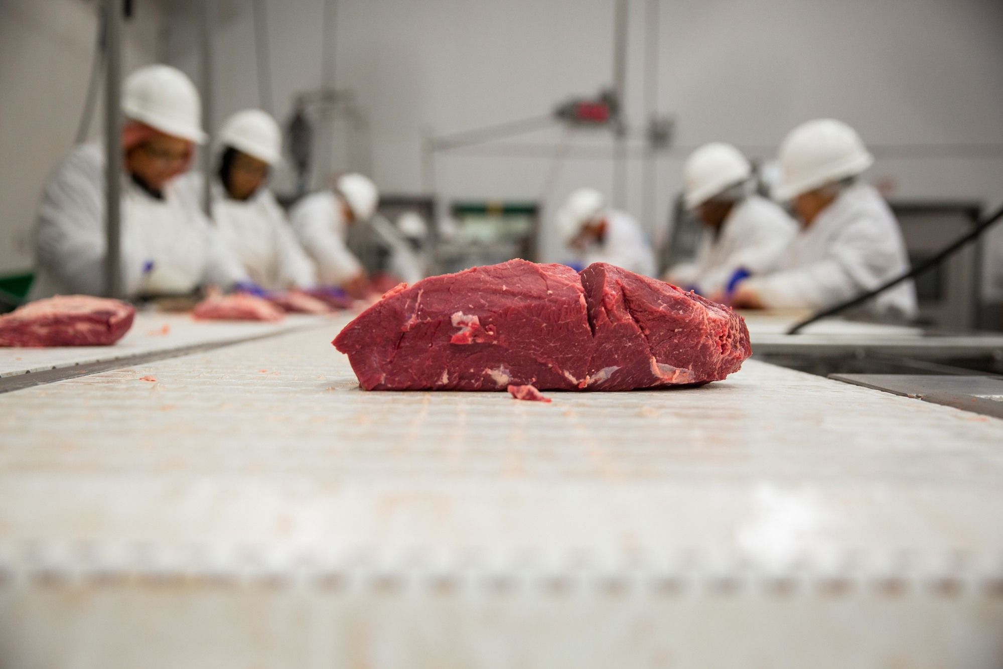 Cargill meat-packing plant reagrading the RCMP investigation 
