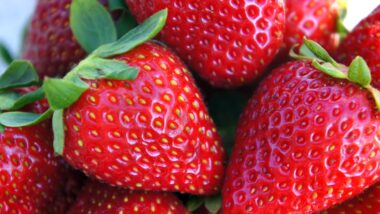 Strawberries - Groupe Adonis