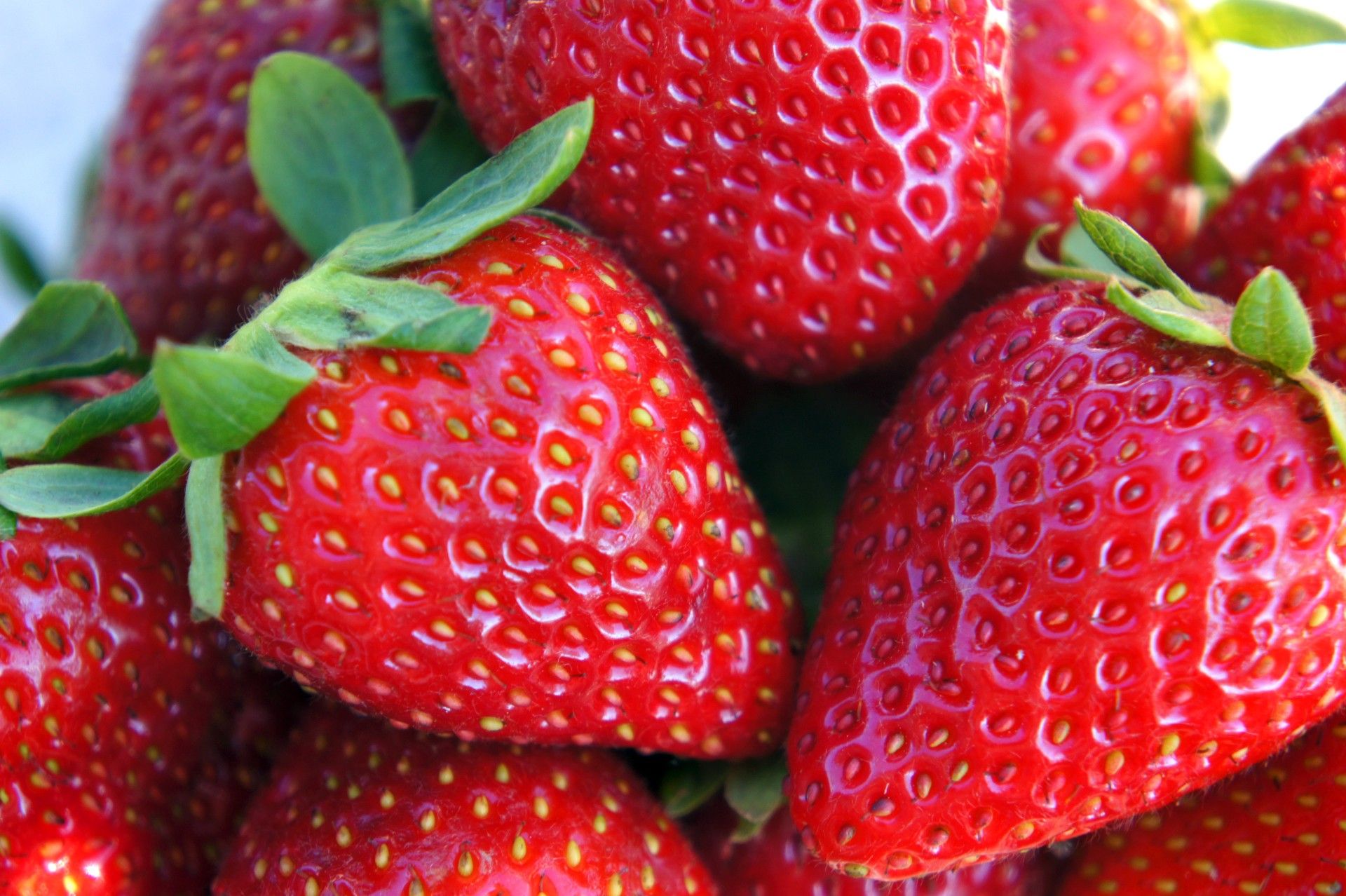 Strawberries - Groupe Adonis