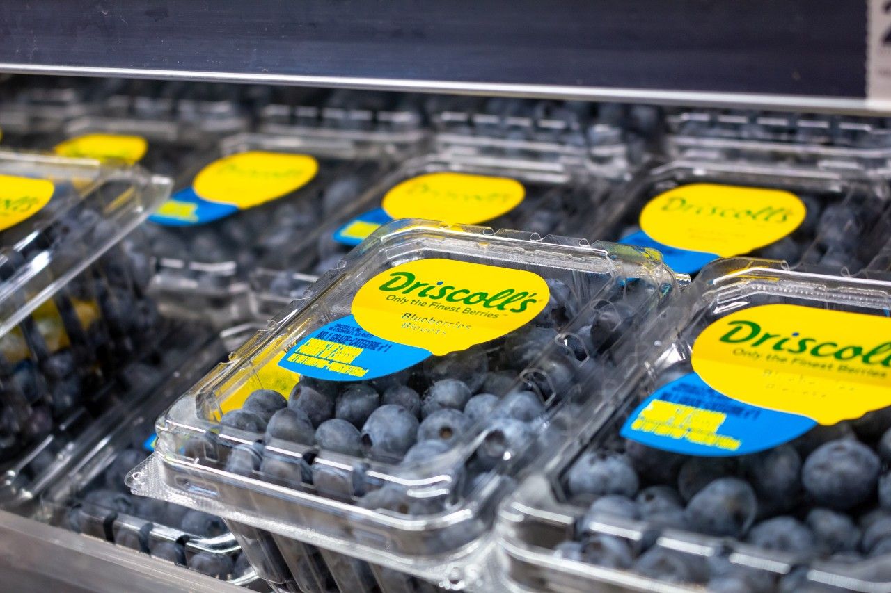 Recall Check Driscoll’s Blueberries Recalled Due to Metal Pieces Top