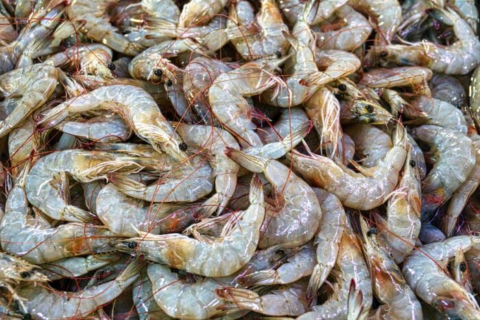 Photo of fresh prawns.