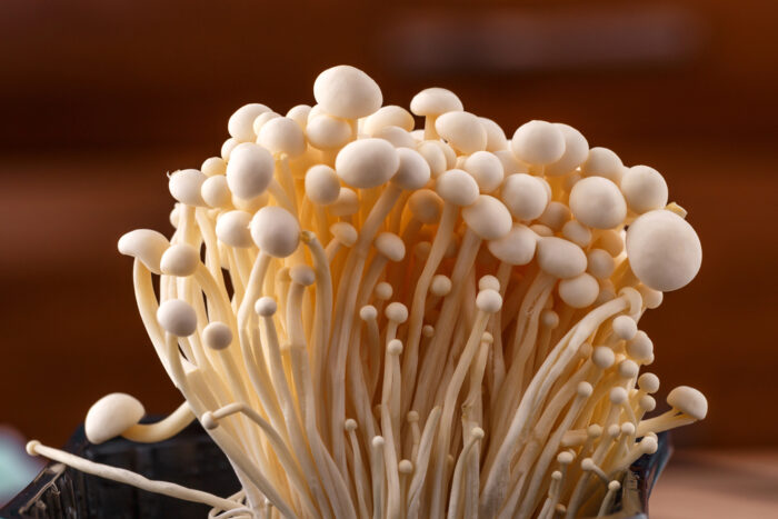 Close up of Enoki mushrooms.
