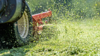 Close up of a lawn mower cutting a lawn.