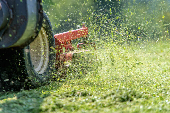 Close up of a lawn mower cutting a lawn.