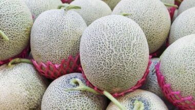 Close up of a group of cantaloupe, representing the cantaloupe recall.