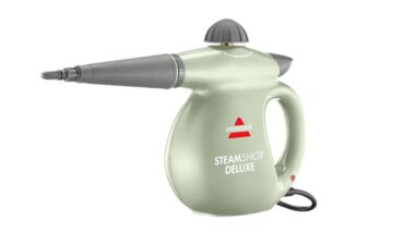 Product photo of recalled steamer by Bissell, representing the Bissell recall.